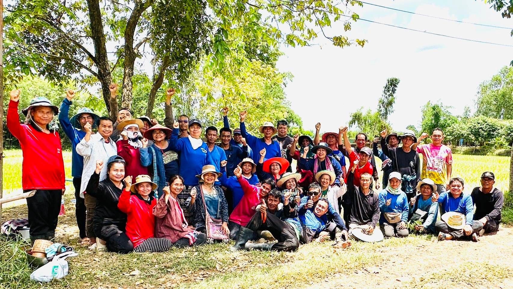 นางปนัดดา แก้วมณี พัฒนาการอำเภอกันทรวิชัย มอบหมายให้นางเพียงใจ วุฒิพันธ์ นักวิชาการพัฒนาชุมชนชำนาญการ ร่วมกิจกรรมดำนาแปลงสาธิตตำบลโคกพระ